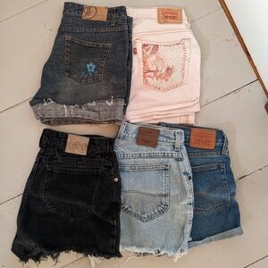 Assorted Denim Shorts Collection